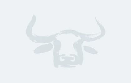 Chicken leg, oystercut product image