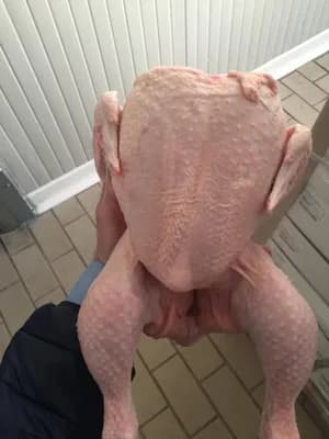 Frozen Whole Chicken