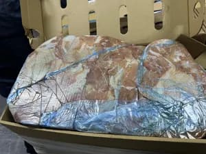 Boneless chicken legs with skin on, 5kg packs frozen