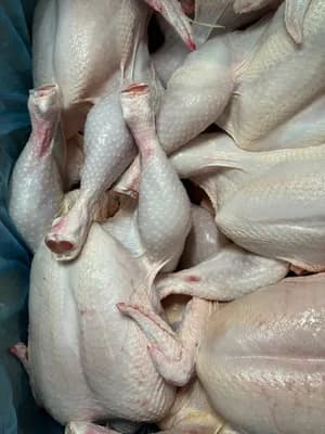Whole chicken product image