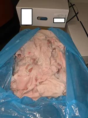 Frozen pork cutting fat