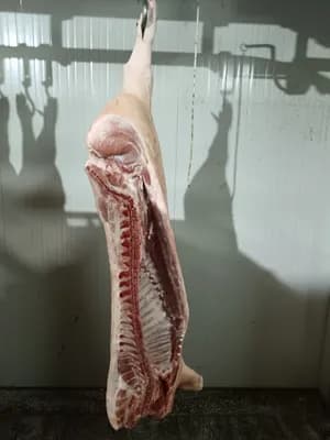 Chilled pork sides E class