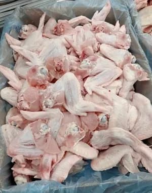 frozen chicken Wings, gr A