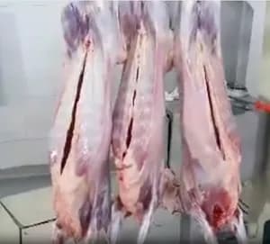 Goat carcass 8-12 kgs