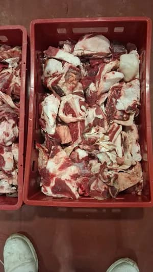 Frozen beef trimming 70/30