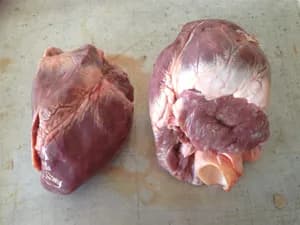 Frozen pork hearts