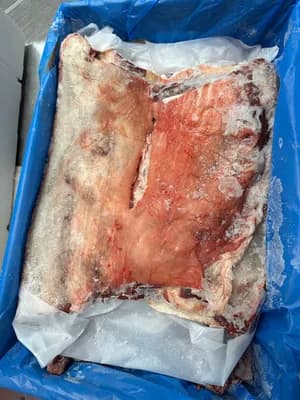 Frozen Mutton 6Way Cut Halal