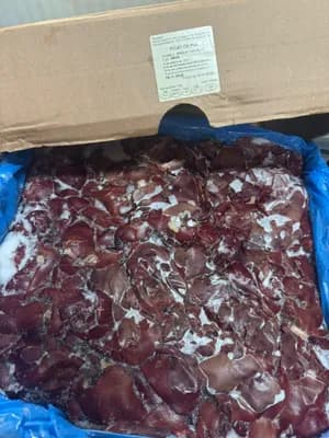 10 kg liver