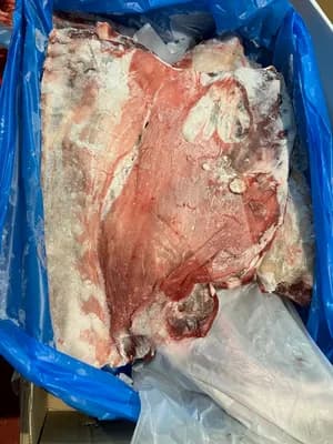 Frozen goat 6way cut halal