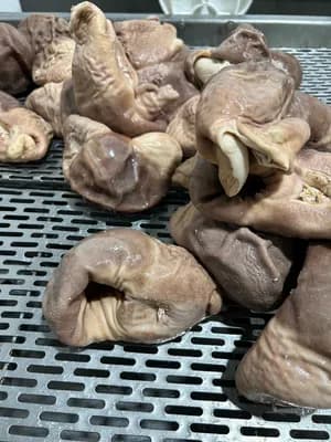 Frozen pork cooked stomachs