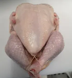 Frozen chicken griller , sizes 800,900,1000,1100 gr.