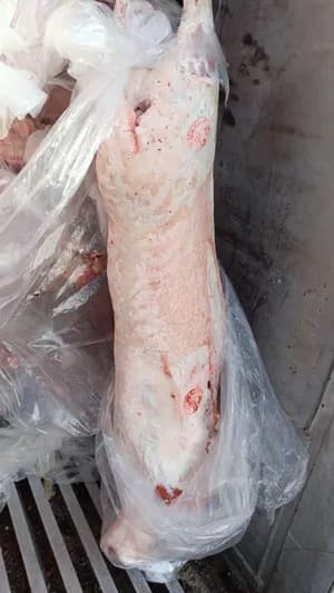 Pork Specialty Cuts product image