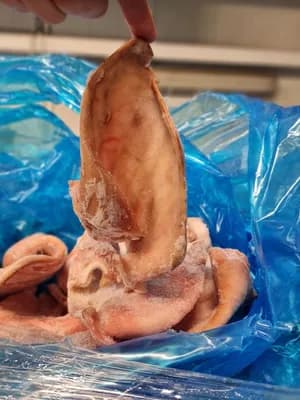 Frozen pork ears flaps