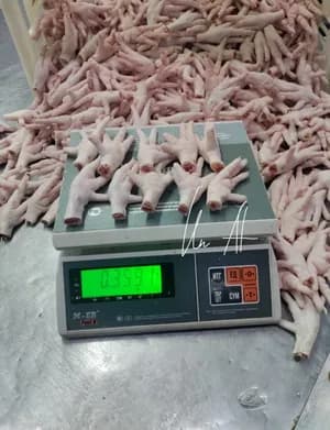 Futures of Chicken Paws