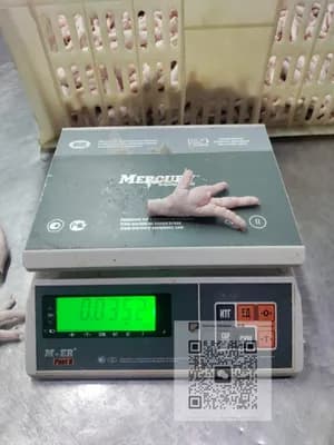 Frozen chicken paws, Grade A