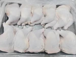 Plate-frozen chicken leg quarters