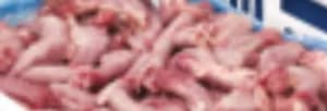 Frozen chicken necks