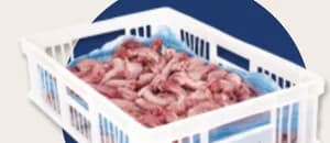 Chicken Specialty Cuts product image