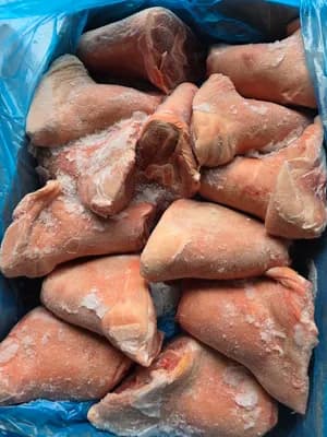 Frozen pork front hock/shank meat bone in, skin on, Weight: 1.2+ kg / piece