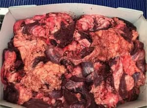 Frozen Beef Head Meat