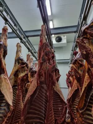 Pork Specialty Cuts product image