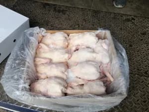 Frozen naked whole hens, for Africa