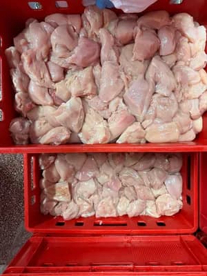 Chicken Filet Pieces, frozen, naked Blocks