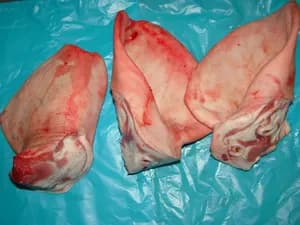 Frozen pork whole ears