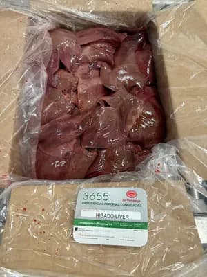 Frozen Pork liver