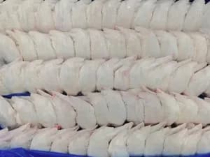 Frozen whole chicken wings (3-joint wings)