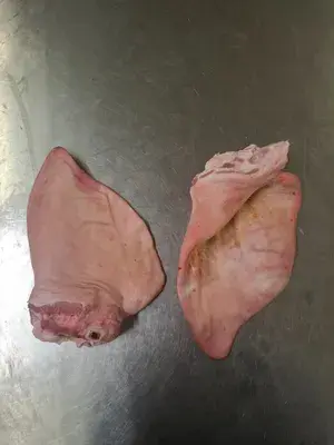 Frozen whole pork ears, polyblock, 21000kg, poland