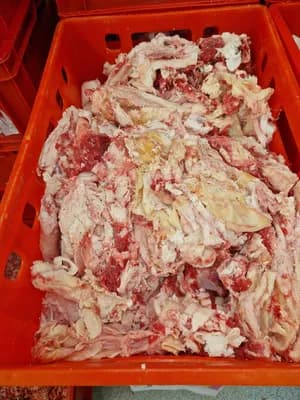 Frozen Beef Tendon