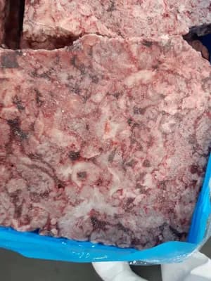 Frozen pork brans