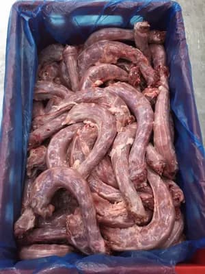 20 ton frozen turkey neck 50/50 F/M poliblok