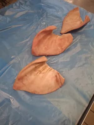 Frozen pork ears flaps, polyblock