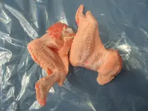78t chicken prime wings B grade, 10 - 12 kg carton
