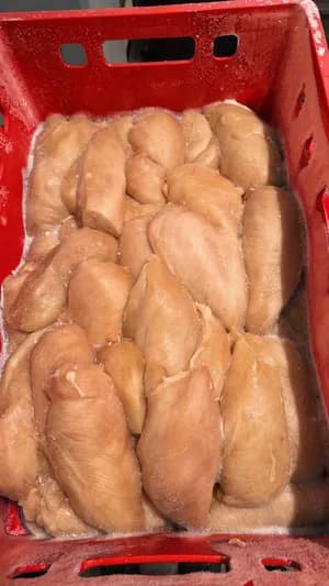 Chicken fillet breast frozen
