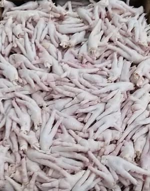 Frozen chicken paw , Grade A for Hong kong and Vietnam